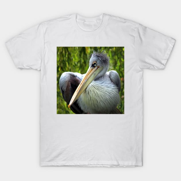 Beaky T-Shirt by JohnDalkin